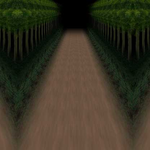 3D Boonie Bears