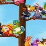 Bird Sort Main