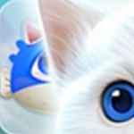 Kitty Jewel Quest
