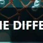 Spot The Differences
